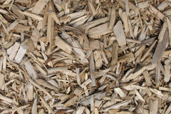 biomass boilers Wool
